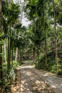 The Flame Tree Estate & - 36