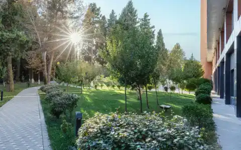 Санаторий Чинар (Chinar & Spa) - 17