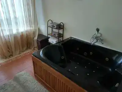 Лесная поляна - 2