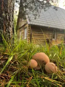 Ладога рядом - 35