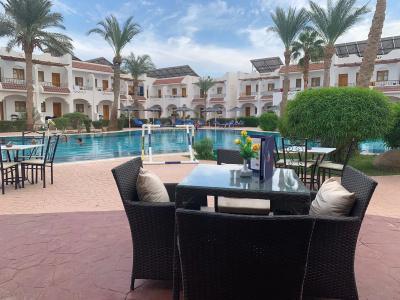 Dive Inn Resort - 10
