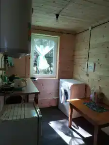 Байкальский кедр - 18