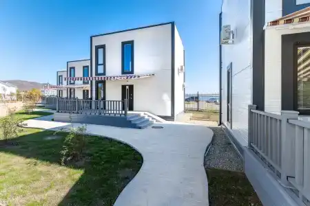 Звезда моря - 125