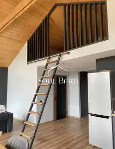 Soul Barn - 13