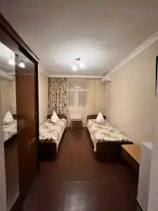 Кипарис - 19