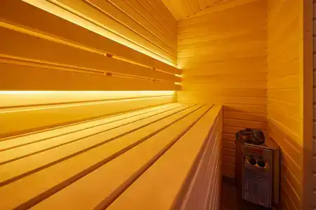 Лесная Рапсодия - 242