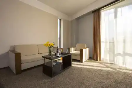 Ani Central Inn - 31