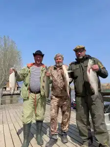 Грэй Гусь - 17