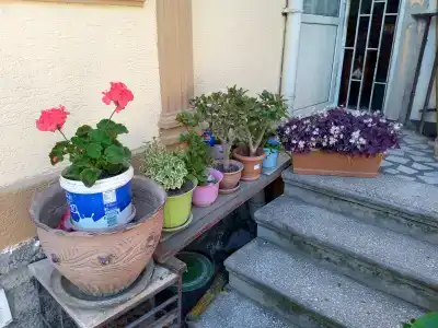 Once upon in Old Tbilisi - 12