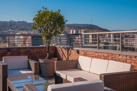 Reed Tbilisi - 5