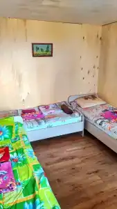 Багульник - 18