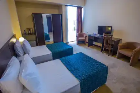 Ani Central Inn - 48