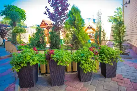 Христина - 2