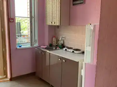 Магнолия - 2
