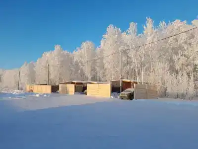 Шелест - 8