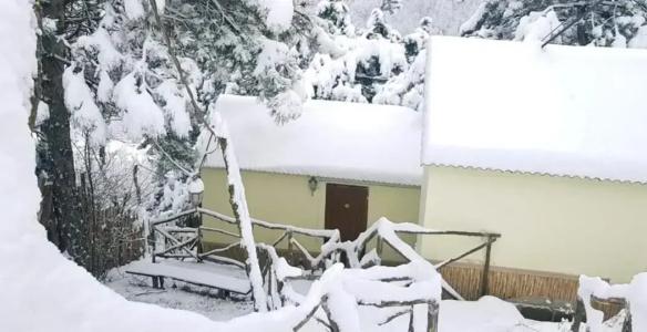 Popock Dilijan 1 - 14