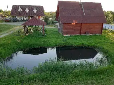 Васильки - 2