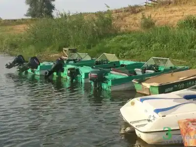 Золотая Дельта - 11