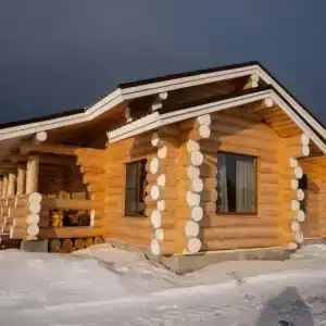 Челмужская усадьба - 101