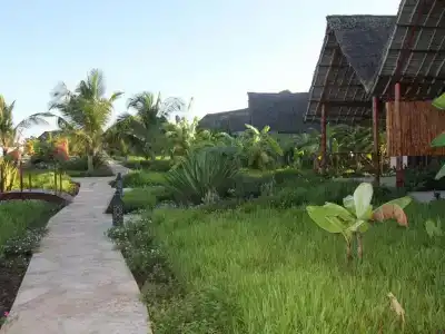 Fruit & Spice Wellness Zanzibar - 46