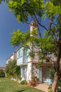 Deniz Kabugu - 9