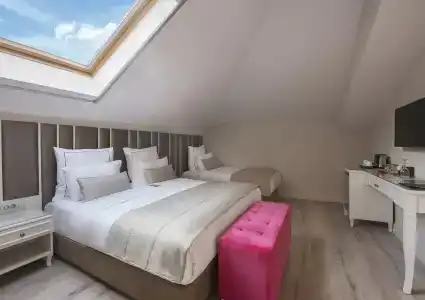 Le Petit Palace - Special Category - 32