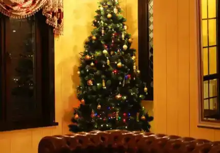 Птичь - 3