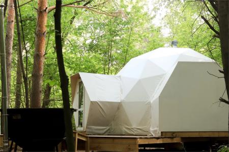 Сосновка - 7