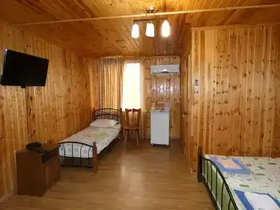 Нора - 1