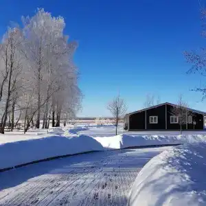 Дубльдом - 856