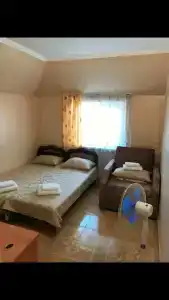 Арарат - 21