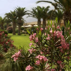 Kernos Beach & Bungalows - 17