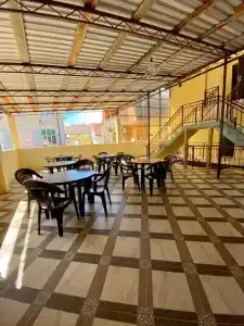 Кипарис - 6