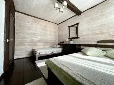 Магия леса в Беловежской пуще - 57