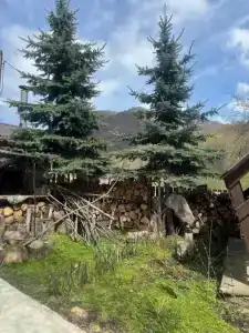 АртХур - 6