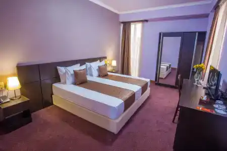 Ani Central Inn - 13