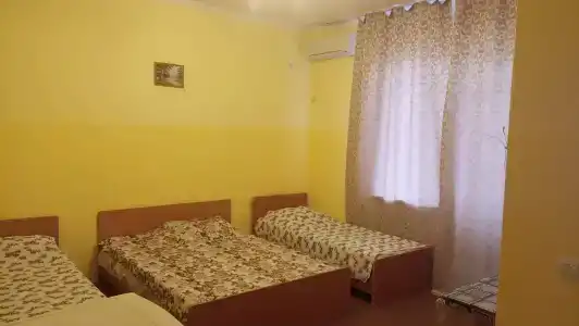 София - 21