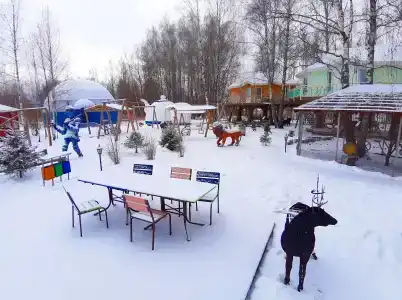 Дом на Дереве - 46