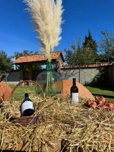 Sazano Wine Cellar & - 32