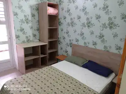 Подсолнухи - 3
