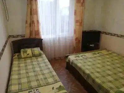 Виолетта - 21