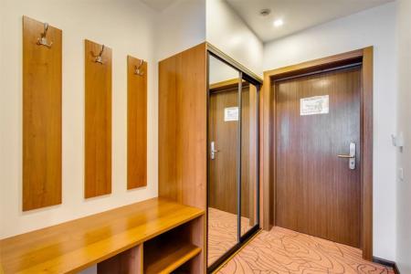 Sunflower by Zont - 104