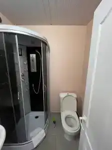 Новый лес - 20