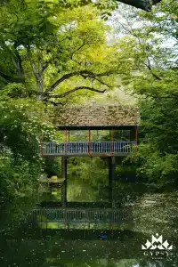 Курортный отель Gipsy Village - 9