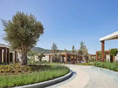 Voyage Torba - 3