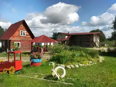 Васильки - 7