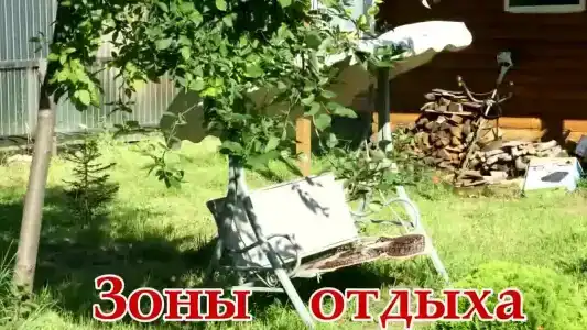 Муравей - 14