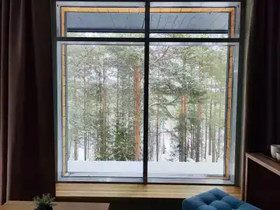 Зеленый Бор - 3