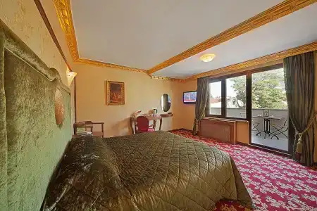 Antea Palace & Spa - 71