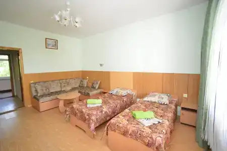 Пчела - 62